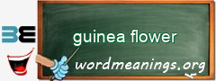 WordMeaning blackboard for guinea flower